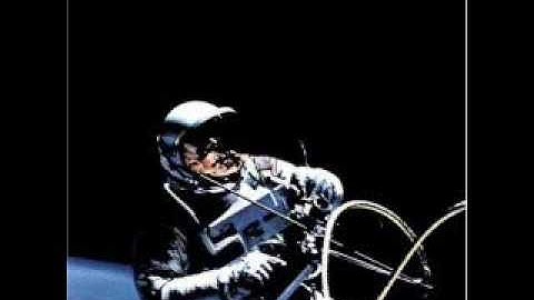 The Afghan Whigs - 66