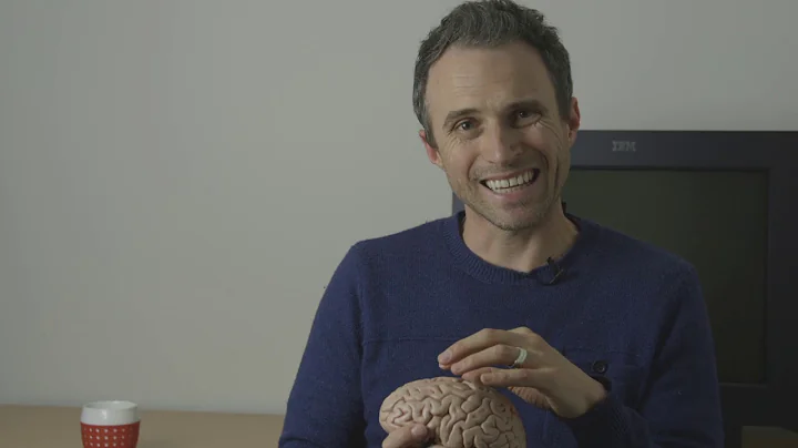 Aphantasia Documentary Film