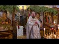 Проповедь на Старый Новый Год - протоиерей Роман Ледин