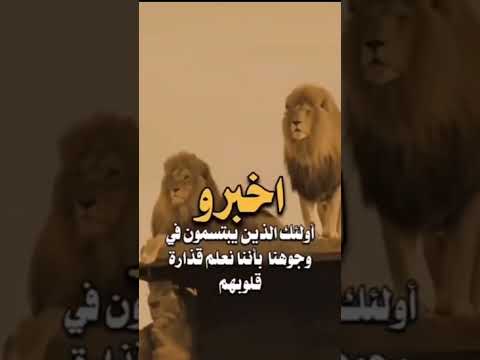 اخبرو اوليك الذين حكمة اليوم حالاتواتس يومياتي خواطر نصائح الاشتراك في القناة شظايا