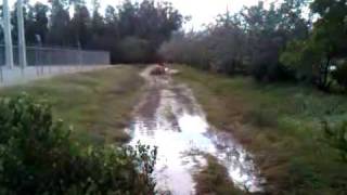 mudding.3GP