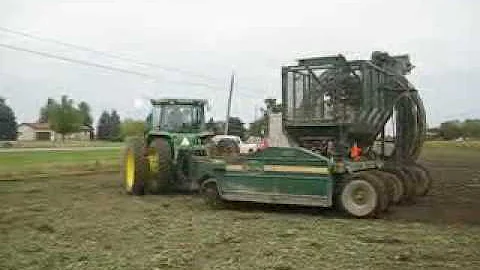 Dennis Gardner lifting sugar beets for Roger and W...