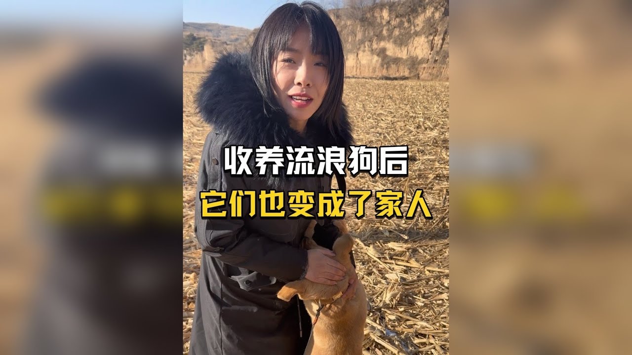 爱是愿意为它们浪费时间，把心疼，变成具体的饭～