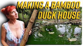 BUILDING A DUCK SHED FROM BAMBOO & RECLAIMED MATERIALS