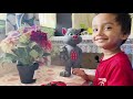 Language development in 1-2 year old | language development in early childhood |