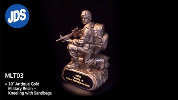 MLT03 - Military Resin Award 360