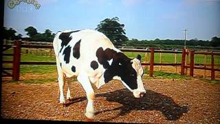 Big Barn Farm - Cbeebies End Credits Opening Theme Song Tune