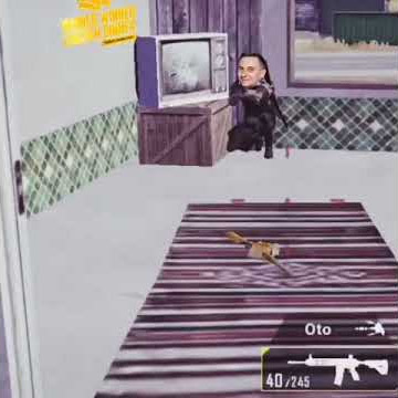 Story wa pubg lucu terbaru
