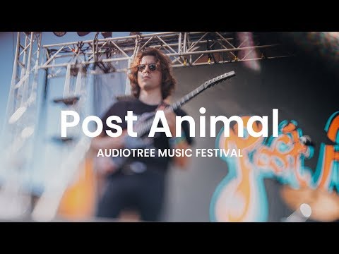 Post Animal -