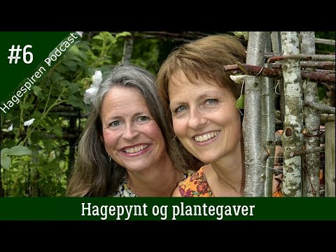 Vi pynter hagen til jul med lyslenker, islykter og kranser. Vi tipser også om grønne julegaver i år.