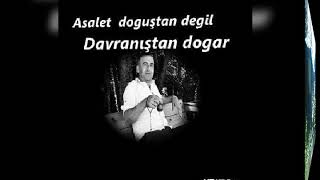 Gençliğimi Calan Yillar