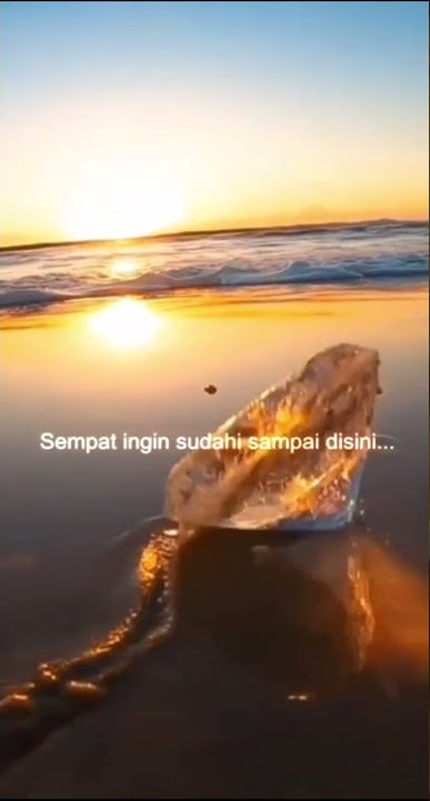 story wa slank ku tak bisa jauh#shorts