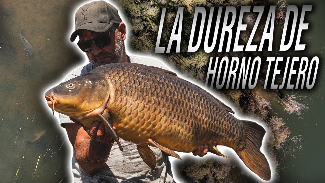 LA DUREZA DE HORNO TEJERO. ***CARPFISHING TV***
