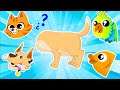 🐶😺🦜  ¿Qué tipo de animal es el gato? | ¡Aprende sobre animales domésticos con el equipo Superzoo!