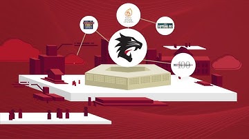 About ThunderCat Technology