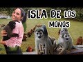 AQUÍ HAY UNA ISLA DE MONOS SECRETA - PERÚ | Katy Travels