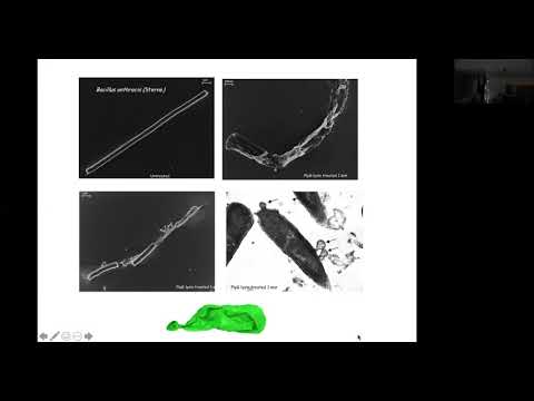 IPATH and VII September 2019 Seminar Series: Vincent Fischetti, PhD