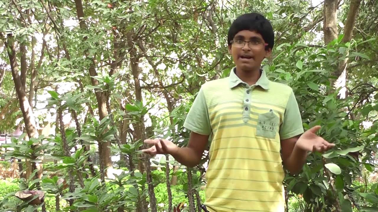 Gravitational Waves by Nachiketh Grandhi | Breakthrough Junior ...