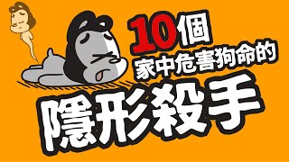 狗與鹿 10個家中危害狗命的隱形殺手  | 狗狗暖知識