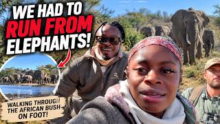 WE HAD TO RUN FROM ELEPHANTS! 😳🐘 | Walking Through the African Bush ON FOOT! 🇿🇦