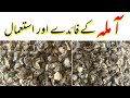 Amla Ke Fayde In Urdu Hindi Amla Benefits For Hair Growth Dry Amla Amla Ka Murabba Amla Ke Fayde In Urdu Hindi Amla Benefits For Hair Growth Dry Amla Amla Ka Murabba