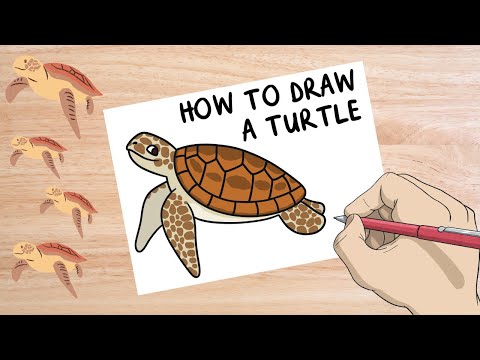 ⁣How to Draw a Sea Turtle for World Turtle Day