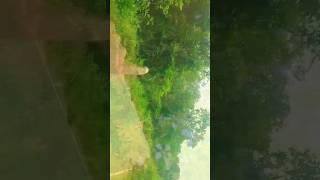cid #comedy shooting jungle ka shooting CID