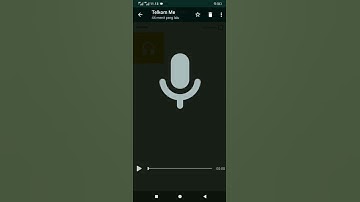 Thumbnail of Cara Simpan Audio Di WhatsApp