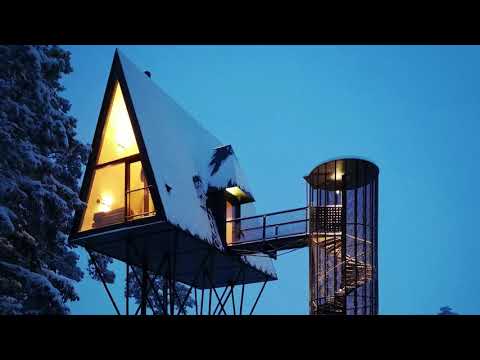 Video: Ottieni Una Vista Unica Della Fauna Selvatica Della Norvegia Nella Cabina PAN Treetop