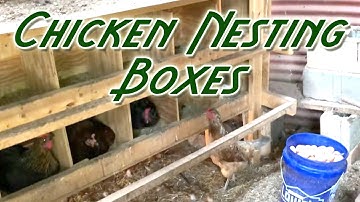 Chicken Nesting Boxes | Chicken Nest Boxes Ideas | Chicken Egg Laying Boxes