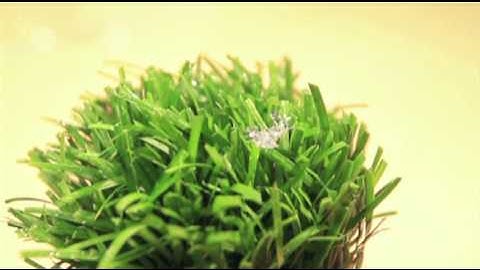 University Aims to Build 