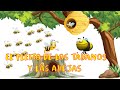 EL PLEITO DE LOS TÁBANOS Y LAS ABEJAS/EL VIEJO, EL HIJO Y EL ASNO