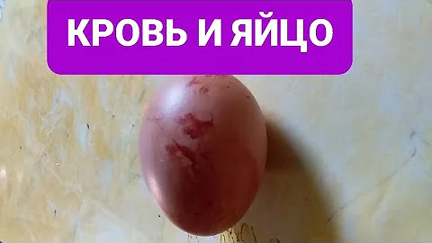 КРОВЯНОЕ ЯЙЦО , ЧТО ДЕЛАТЬ?