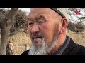 Алишер Жээнбеков, Баткен облусунун Кара-Бак айылынын Аксакалдар кеңешинин төрагасы