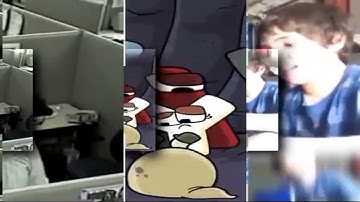 41 shuric scans with are slides (Capcut version)