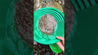 The second part of the second half of the gold panning process #2026 #gold #youtube