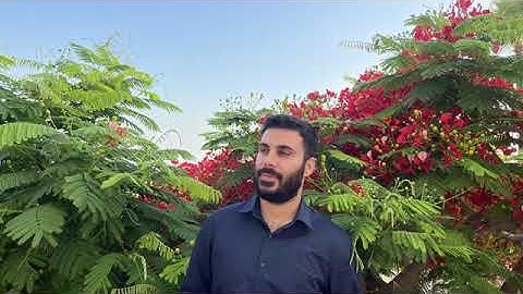 سورة# المرسلات# كاملة بصوت القارئ نور الدين سليم
