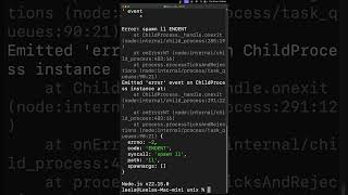 Spawn function in the child process in Nodejs and the commands it executes