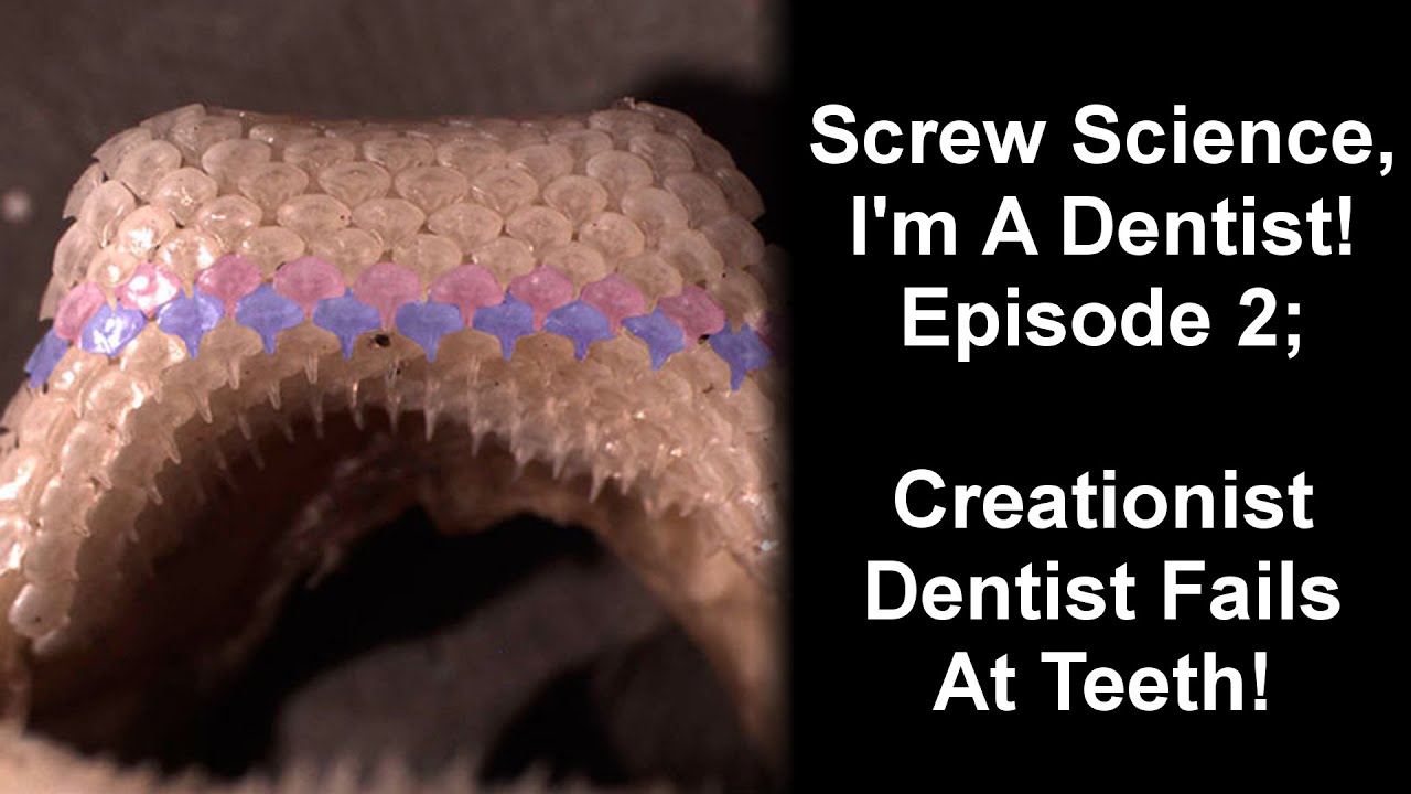 Screw Science, I'm A Dentist!  2: Creationist Dentist Fails At Teeth - Feel free to follow me on FB and Twitter!