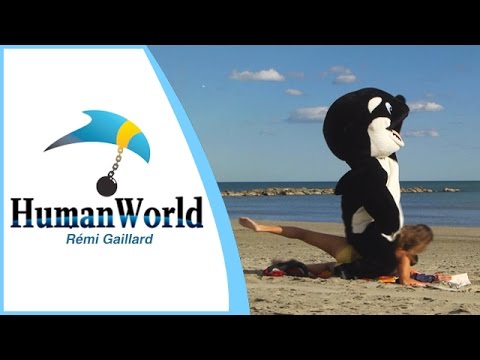 HUMAN WORLD (REMI GAILLARD)