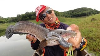 soft plastic frog lures