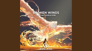 Broken Wings