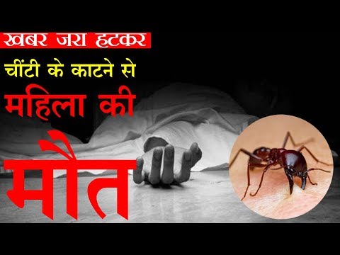 चींटी के काटने से भारतीय महिला की मौत