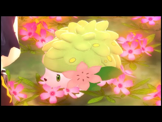 Sapphire △ on X: Notice how when Shaymin transforms into Sky-Forme, its  eyes are not regular Shaymin eyes. They resemble Mallow's mother's 😭💚  (SM146: Thank you Alola! The Journey Continues!) #anipoke #pokemon #