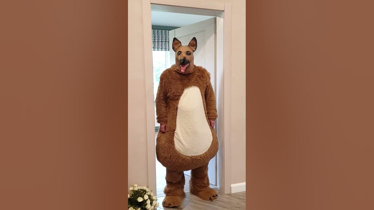 Funny dogs stares at you and barks, Dora Pomidora YouTube