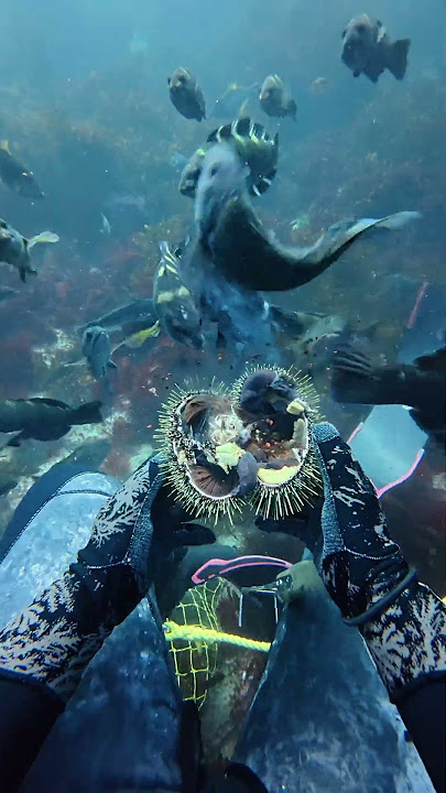 fish, meet kina. kina, meet fish #asmr #pestcontrol #kina