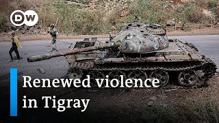 Tigray conflict: A US-backed push for peace? | DW News