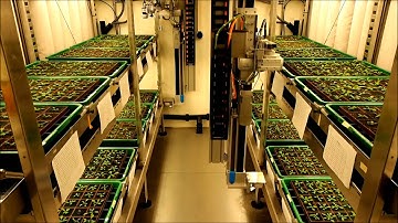 VBCF Plant Sciences Facility: High-Throughput Plant Phenotyping At The Vienna Biocenter