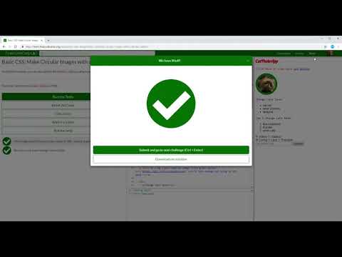 Basic CSS  Make Circular Images with a border radius  12/44 Learn freeCodeCamp
