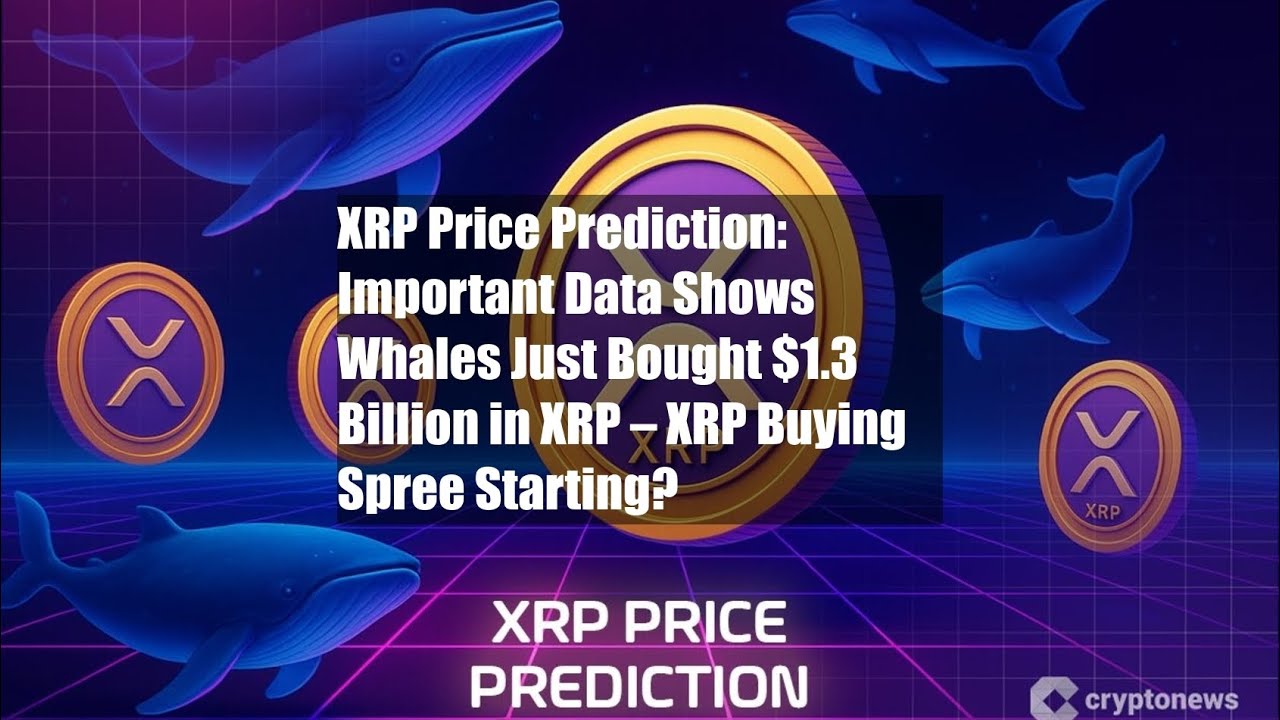 XRP Price Prediction: Important Data Shows Whales Just Bought $1.3 - YouTube